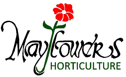 May Flowers Horticulture